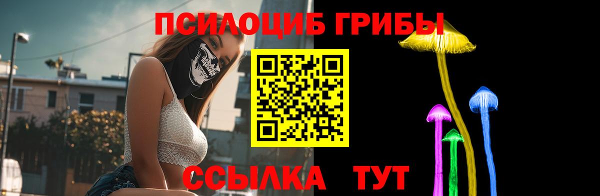 Псилоцибиновые грибы Magic Shrooms  Карпинск 